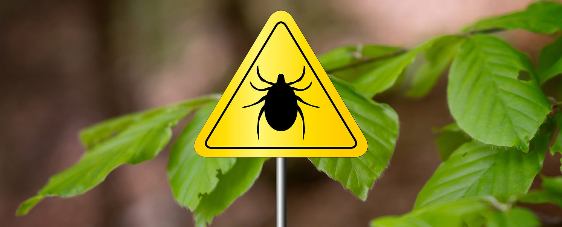 «Антиклещ» | Страхование «Для тех, кто важен»