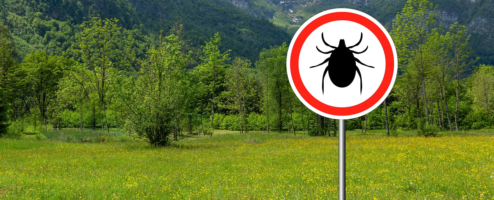 Антиклещ Ю | Страхование «Для тех, кто важен»