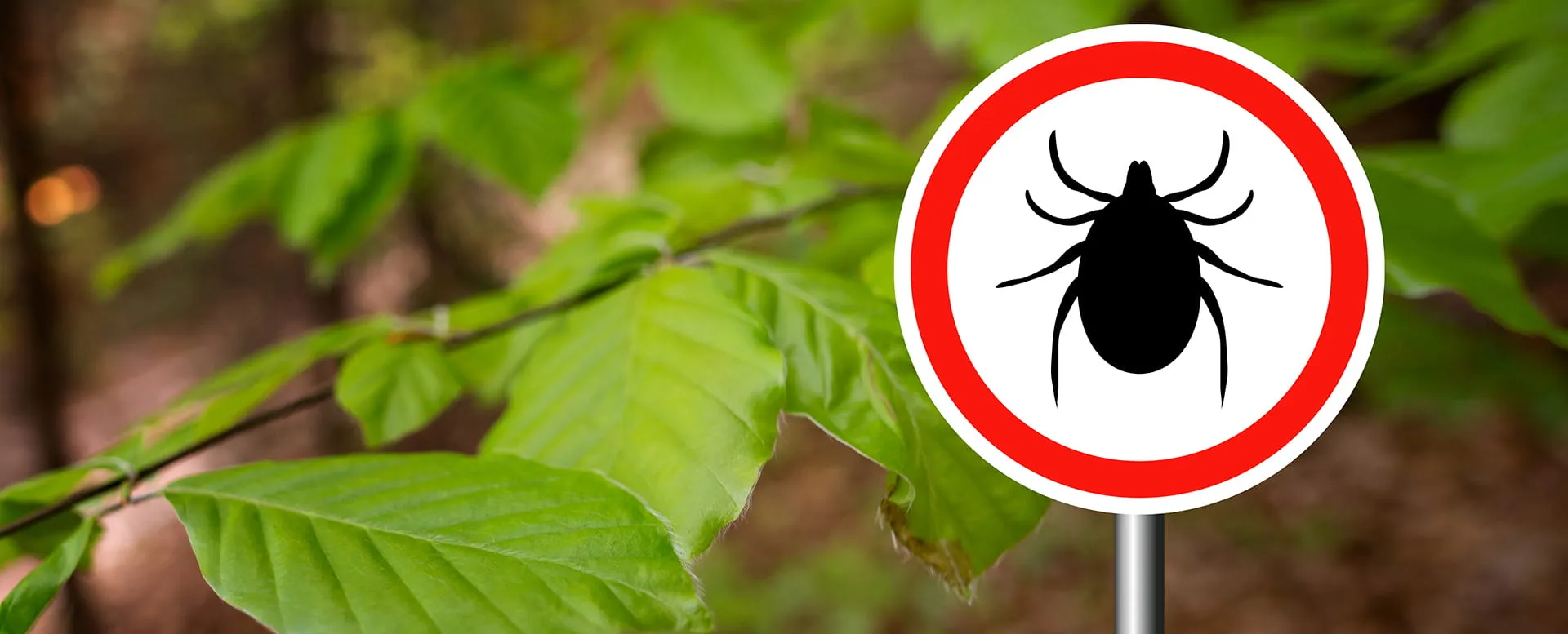 Антиклещ | Страхование «Для тех, кто важен»