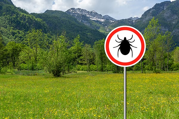 Страхование «Для тех, кто важен» - Антиклещ Ю