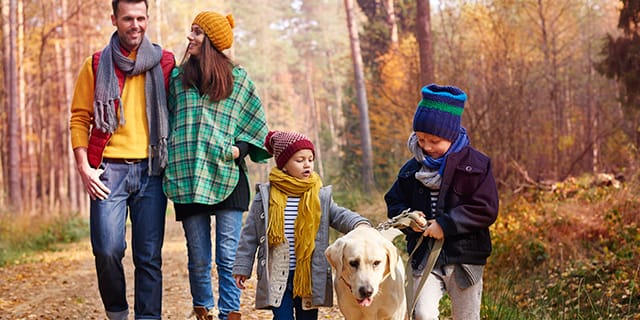 Страхование «Для тех, кто важен» - НС Семейный