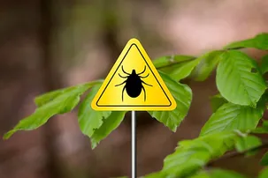 Страхование «Для тех, кто важен» - Антиклещ